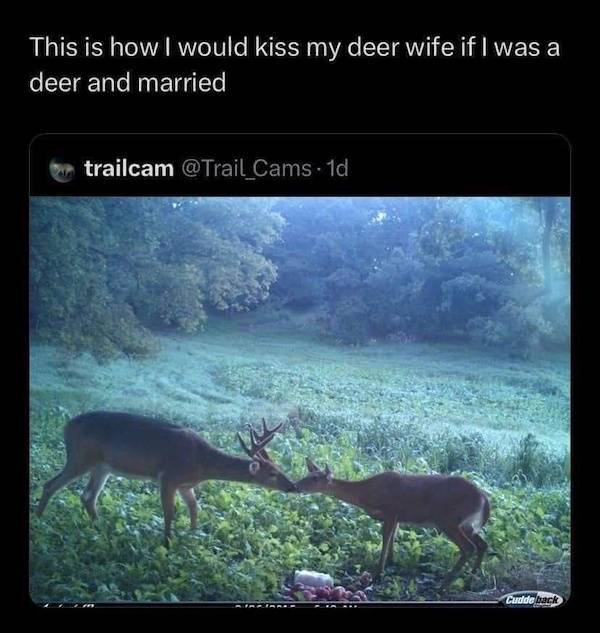 Dirty And Flirty Memes To Share with Someone Special