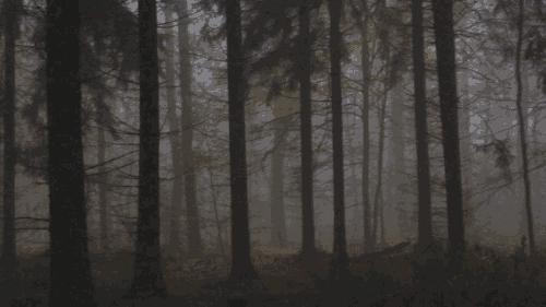 Creepy Facts That Will Keep You Up at Night