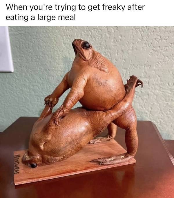 NSFW Memes To Add Some Spice To Your Life