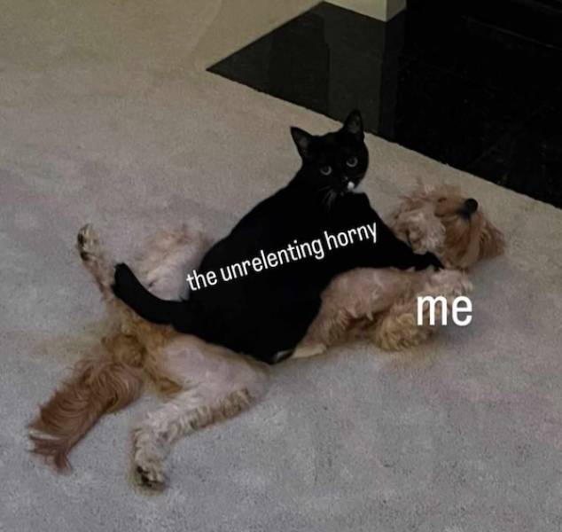 NSFW Memes To Add Some Spice To Your Life