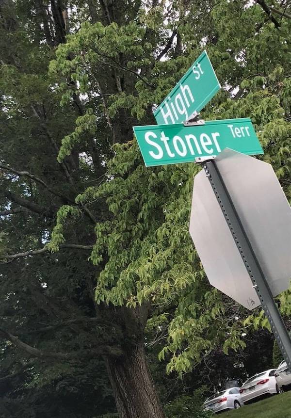 Dirty Dump For Dirty Minds