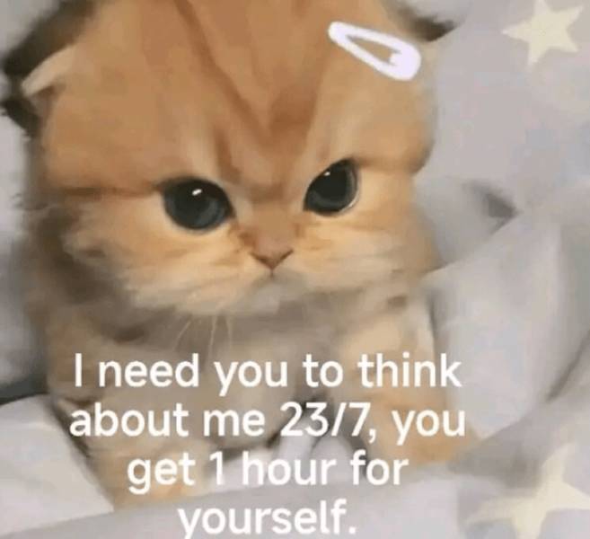 Sassy, Classy And A Bit Trashy