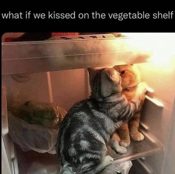 Flirty Memes To Send Your Better Half