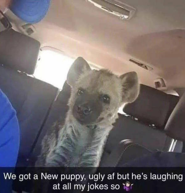 Hold Up A Minute!