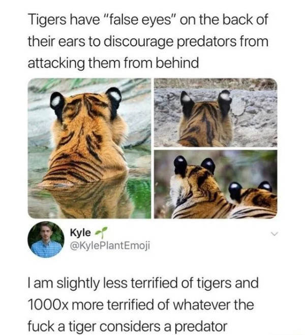 Hold Up A Minute!