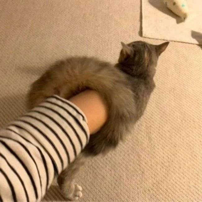 Innocent Images Ruined by Dirty Minds