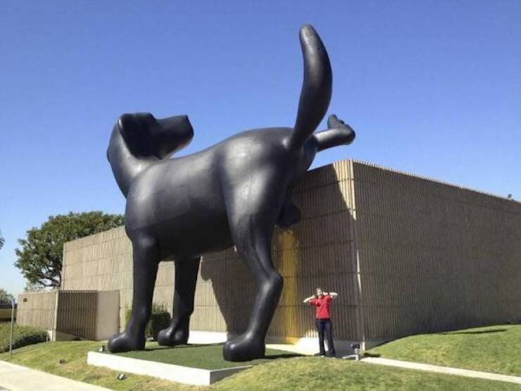 Dirty Dump For Dirty Minds