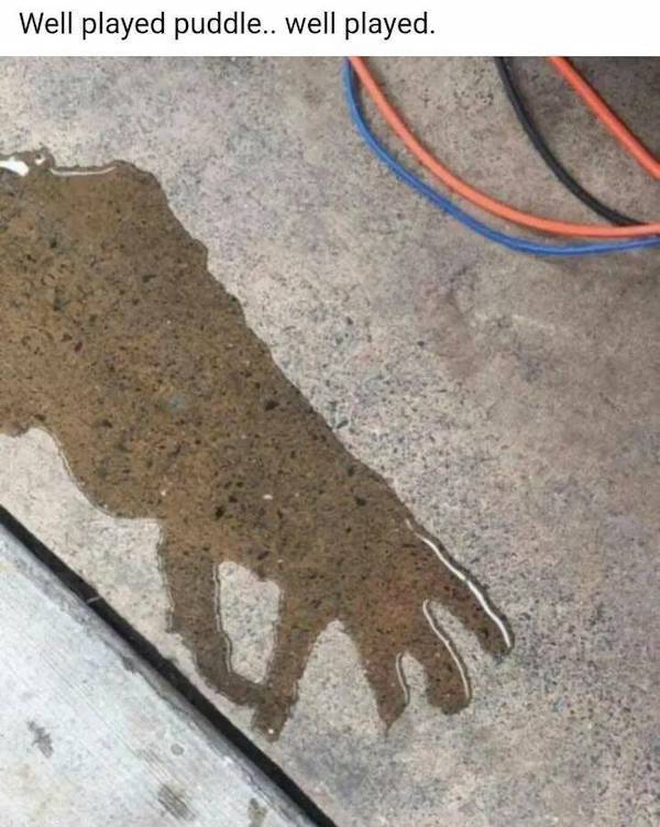 Dirty Dump For Dirty Minds