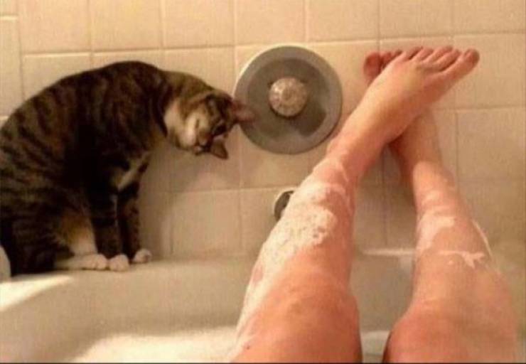 Dirty Dump For Dirty Minds