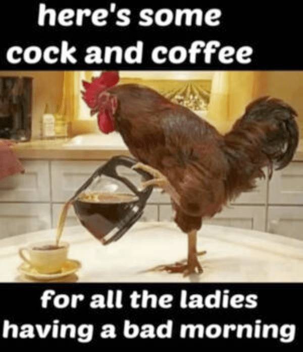 Mildly Arousing Memes