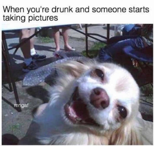 Cheers Everyone!