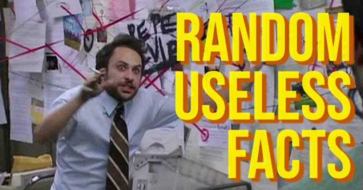 Random Facts Nobody Asked For