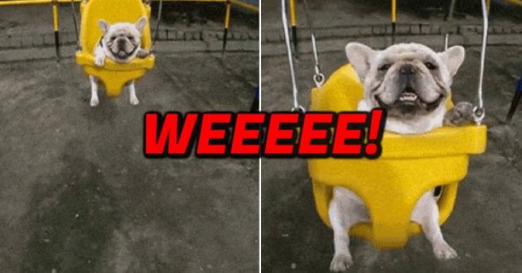 Pure Positivity in GIF Form