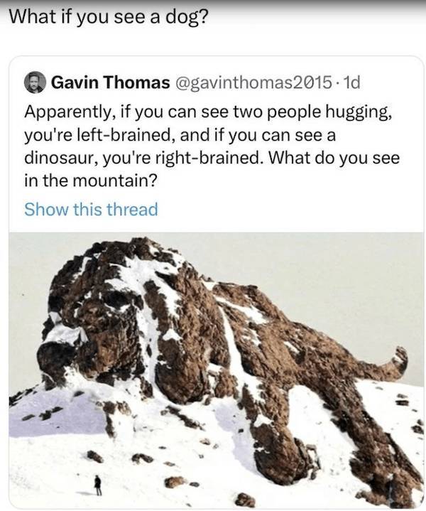Beer-a-FULL memes for day Drinking