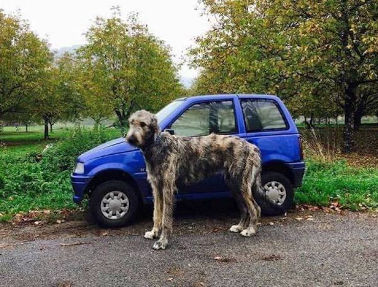 Daily Picdump