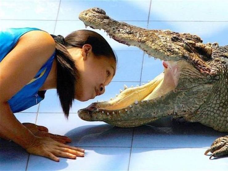Daily Picdump