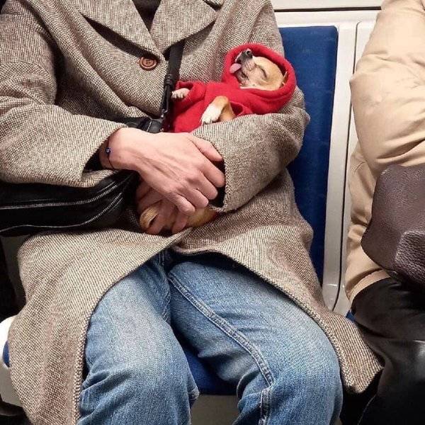 Daily Picdump