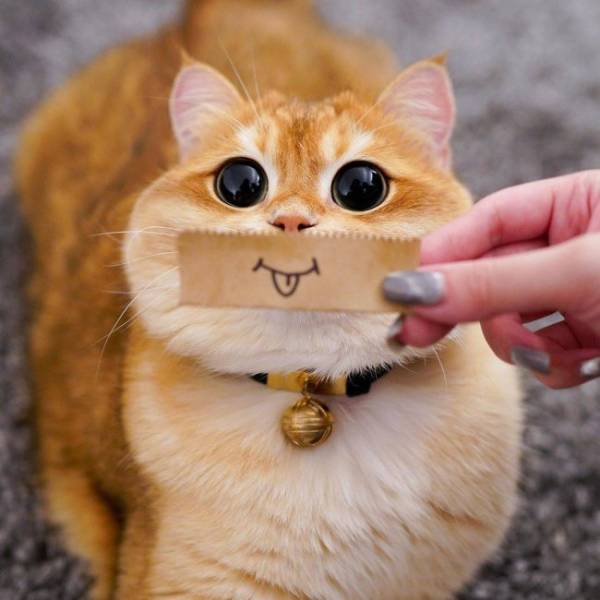 Daily Picdump