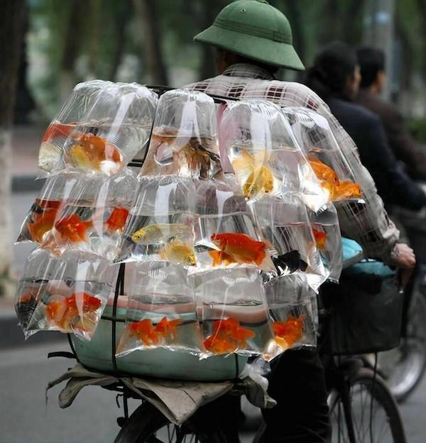 Daily Picdump