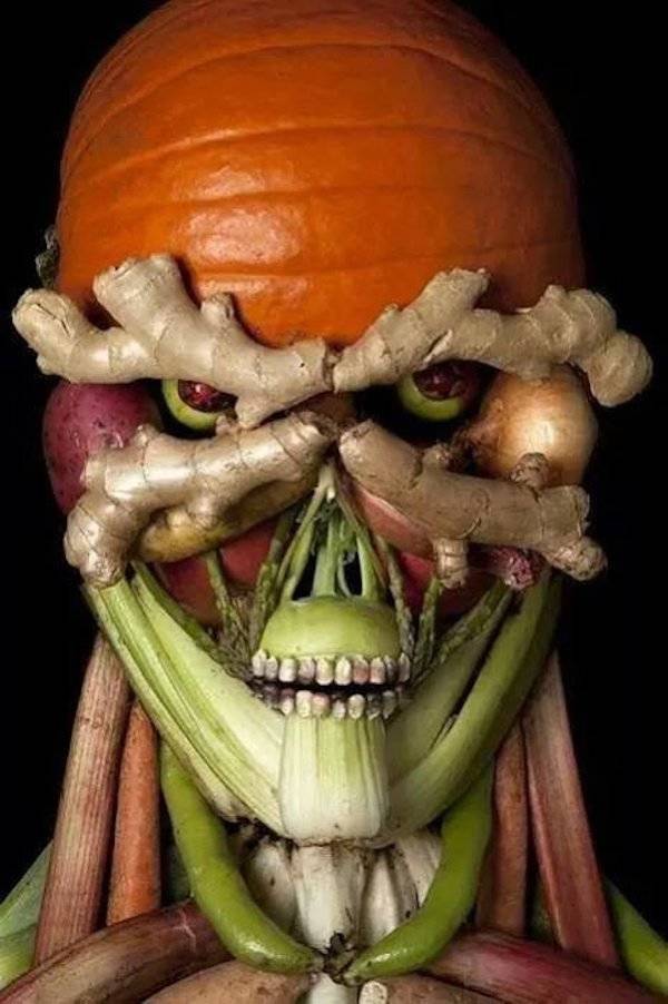 Daily Picdump