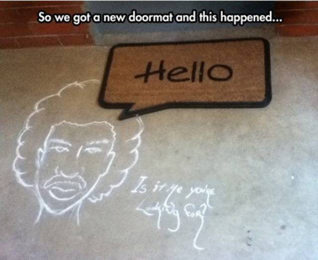 Daily Picdump