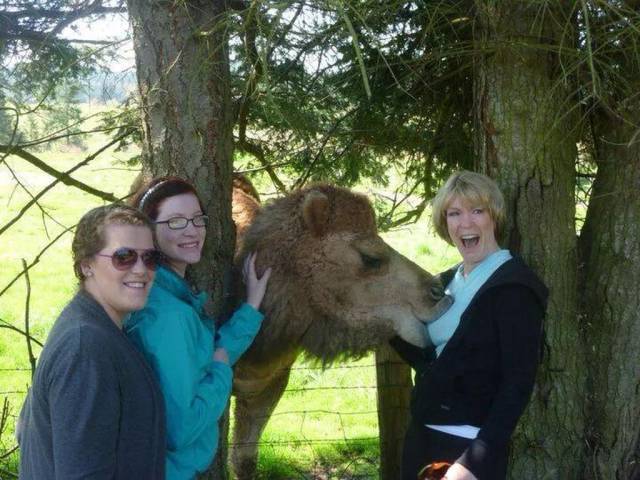 Daily Picdump