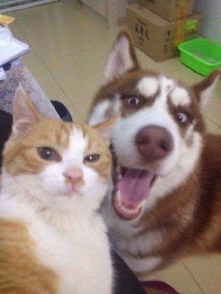 Daily Picdump