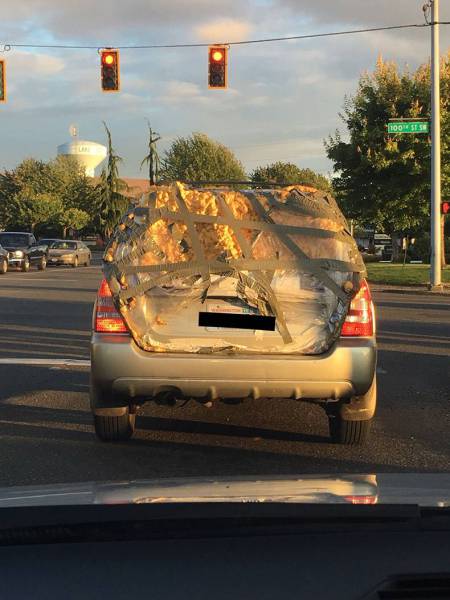 Morning Picdump