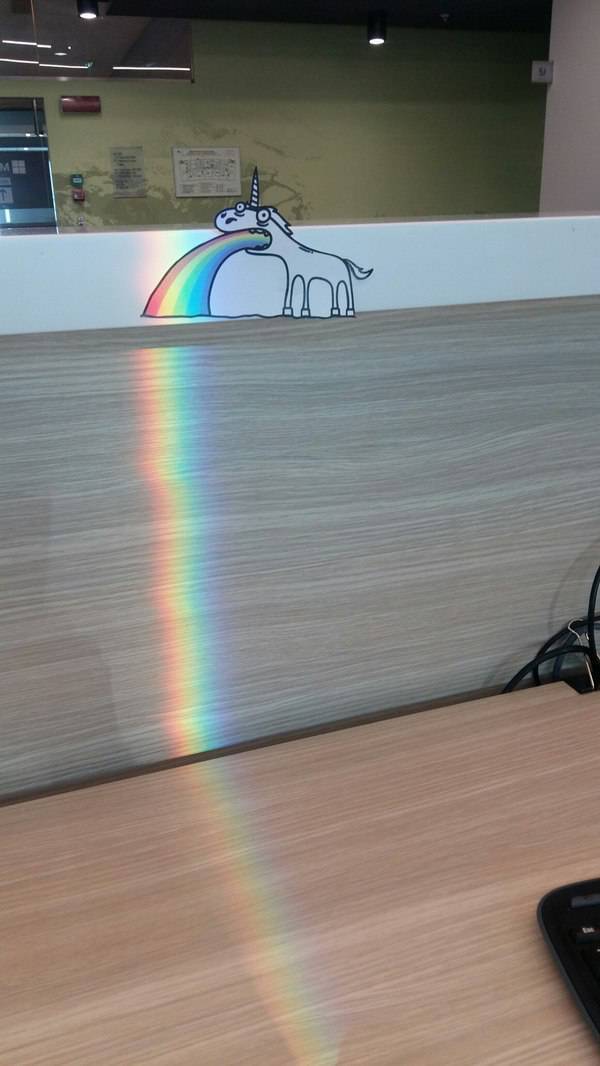 Morning Picdump