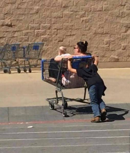 Daily Picdump