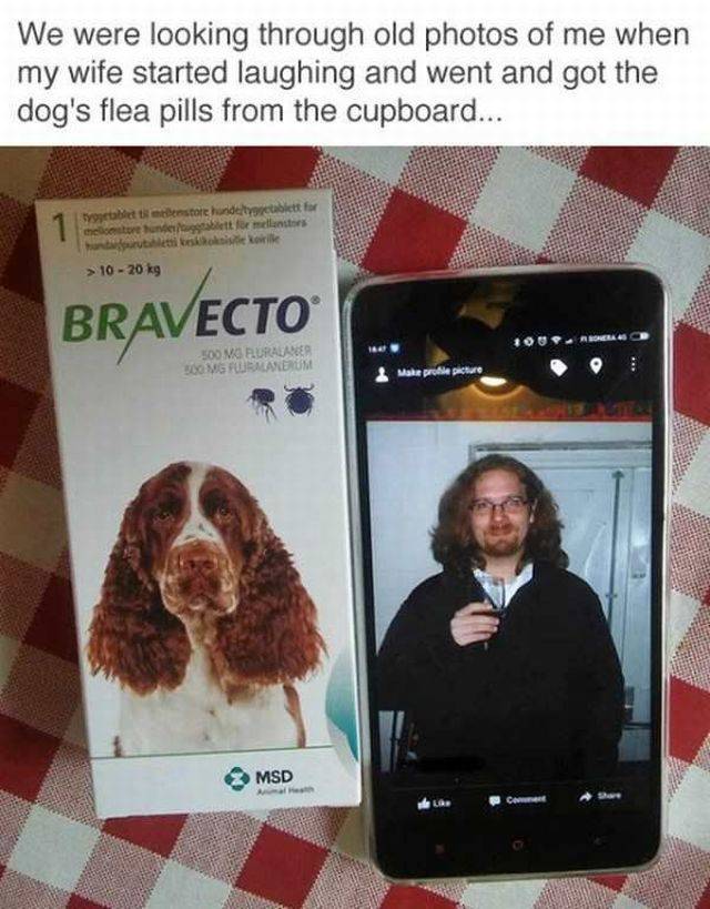 Daily Picdump