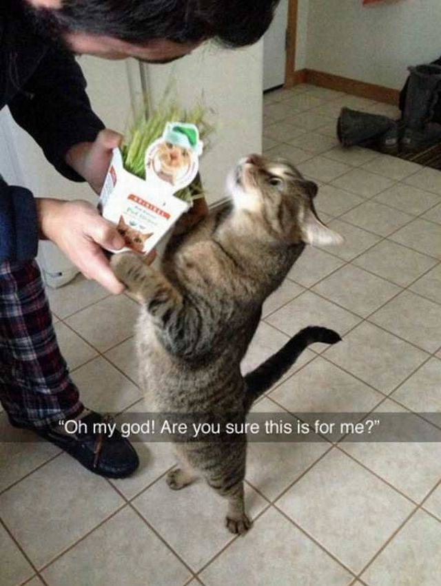 Daily Picdump