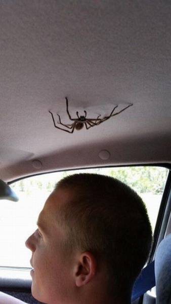 Daily Picdump