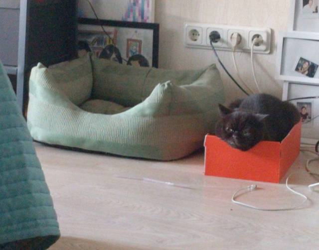 Daily Picdump