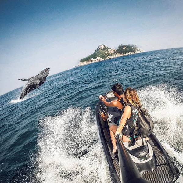 Daily Picdump