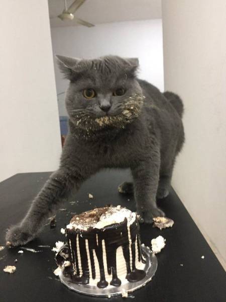 Daily Picdump