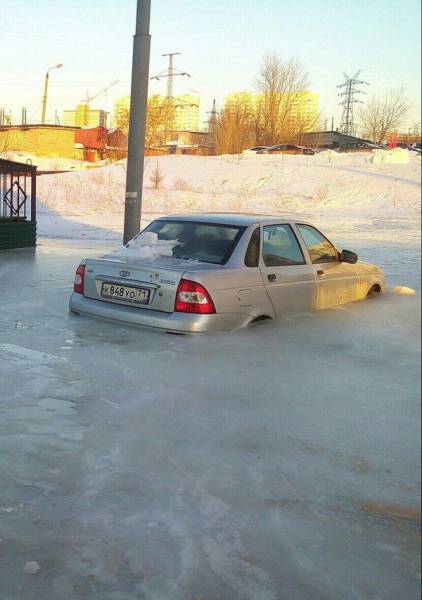 Daily Picdump