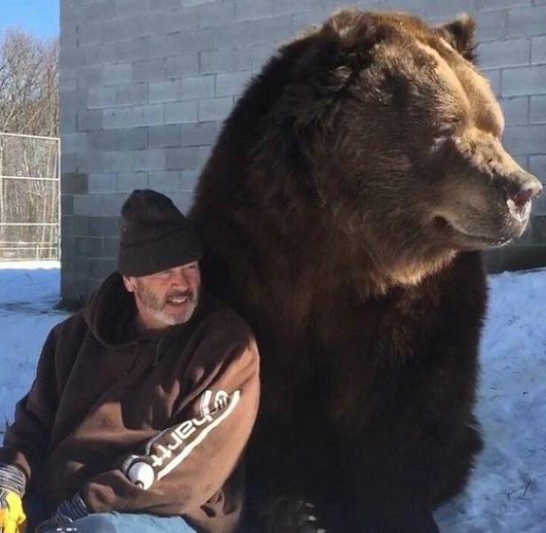 Daily Picdump
