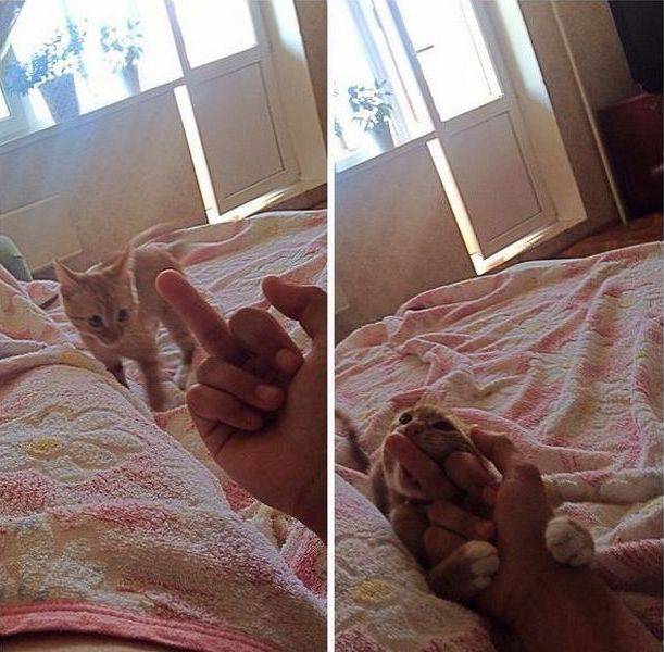 Daily Picdump