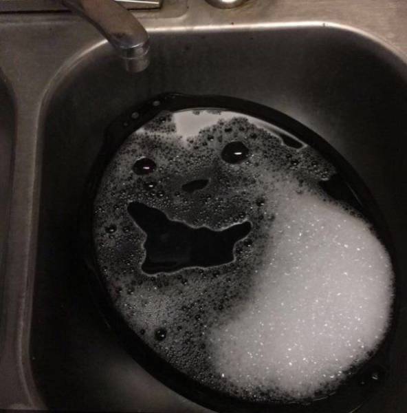 Daily Picdump