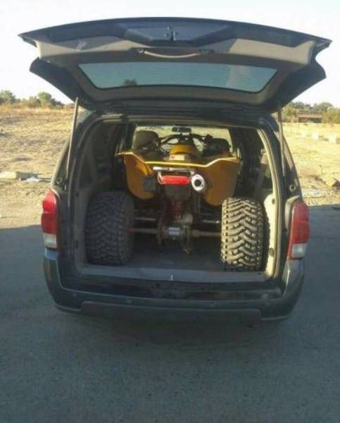Daily Picdump