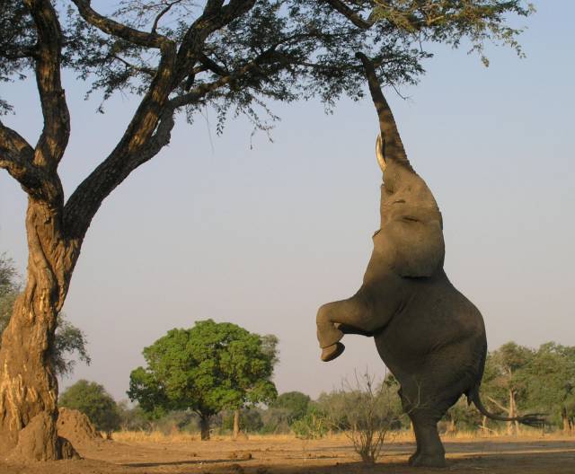Daily Picdump