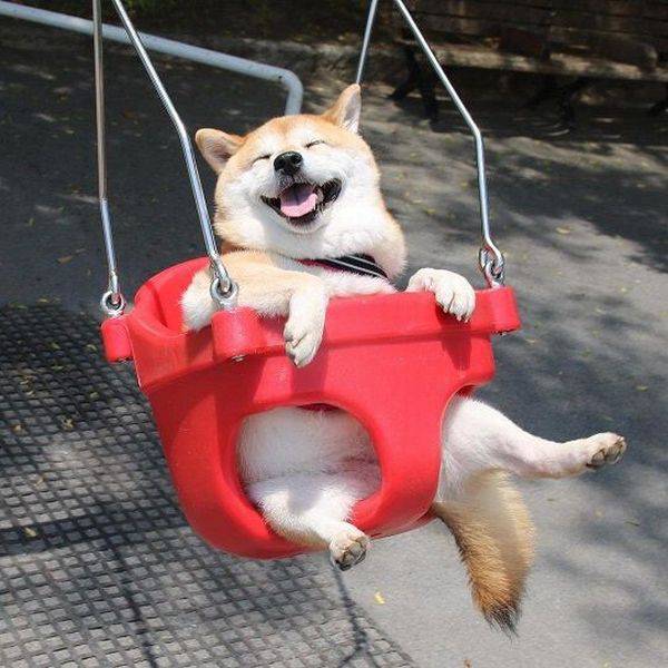 Daily Picdump