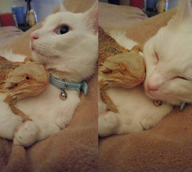 Daily Picdump