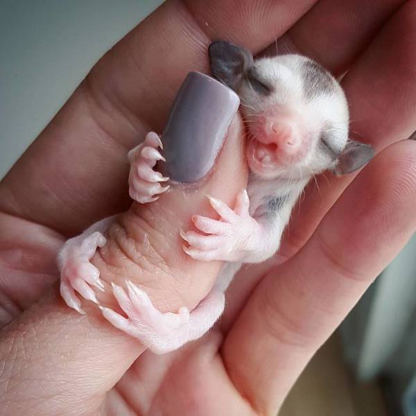 Daily Picdump