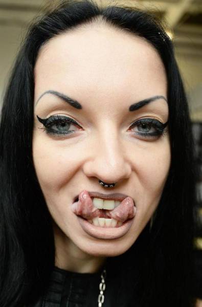 Daily Picdump