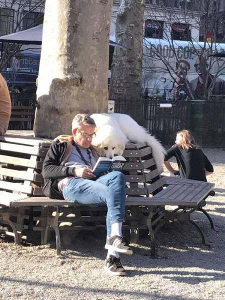 Daily Picdump [WEEKEND EDITION]