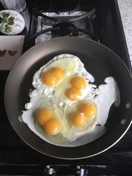 Morning Picdump