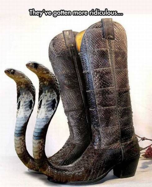 Daily Picdump