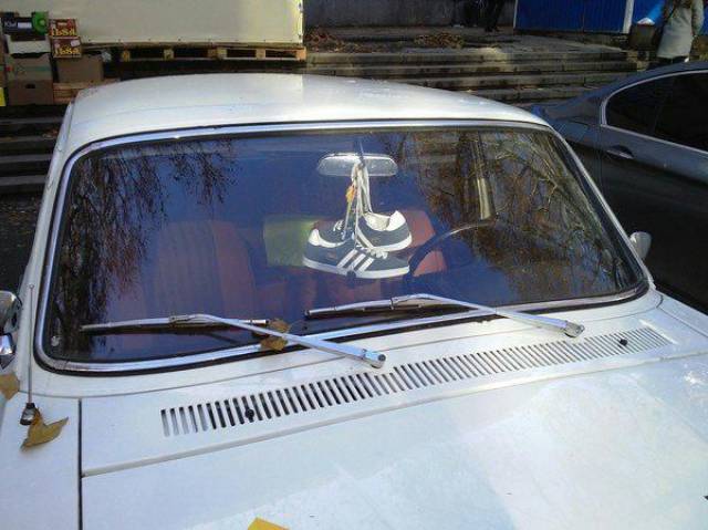 Daily Picdump